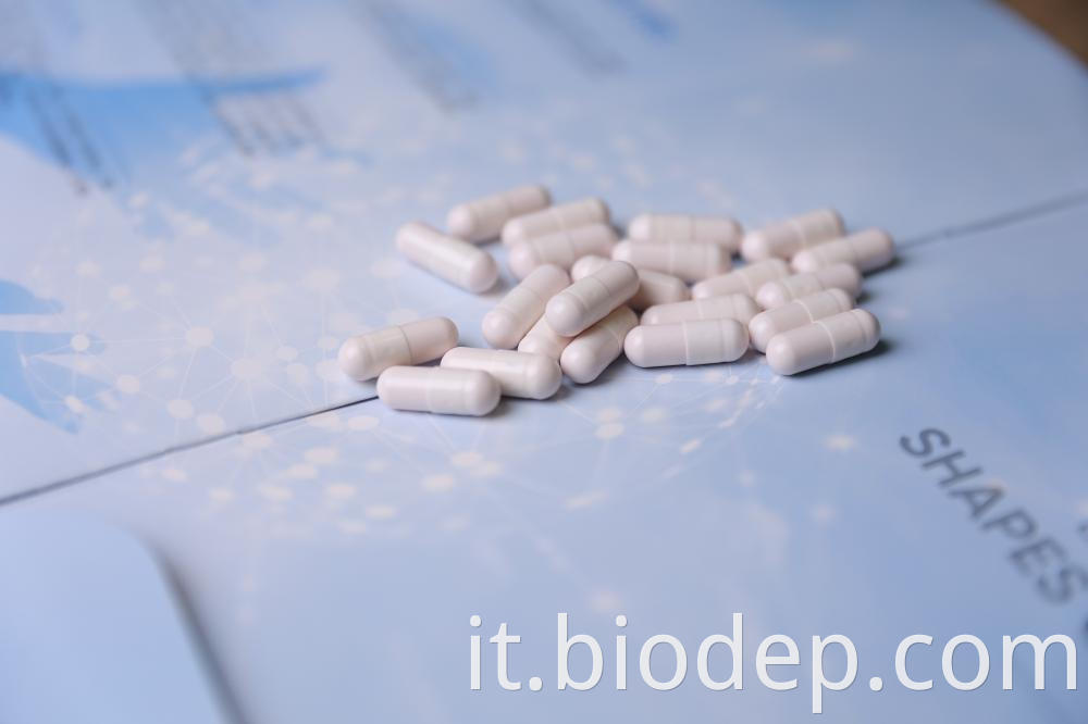 Lactococcus Lactis